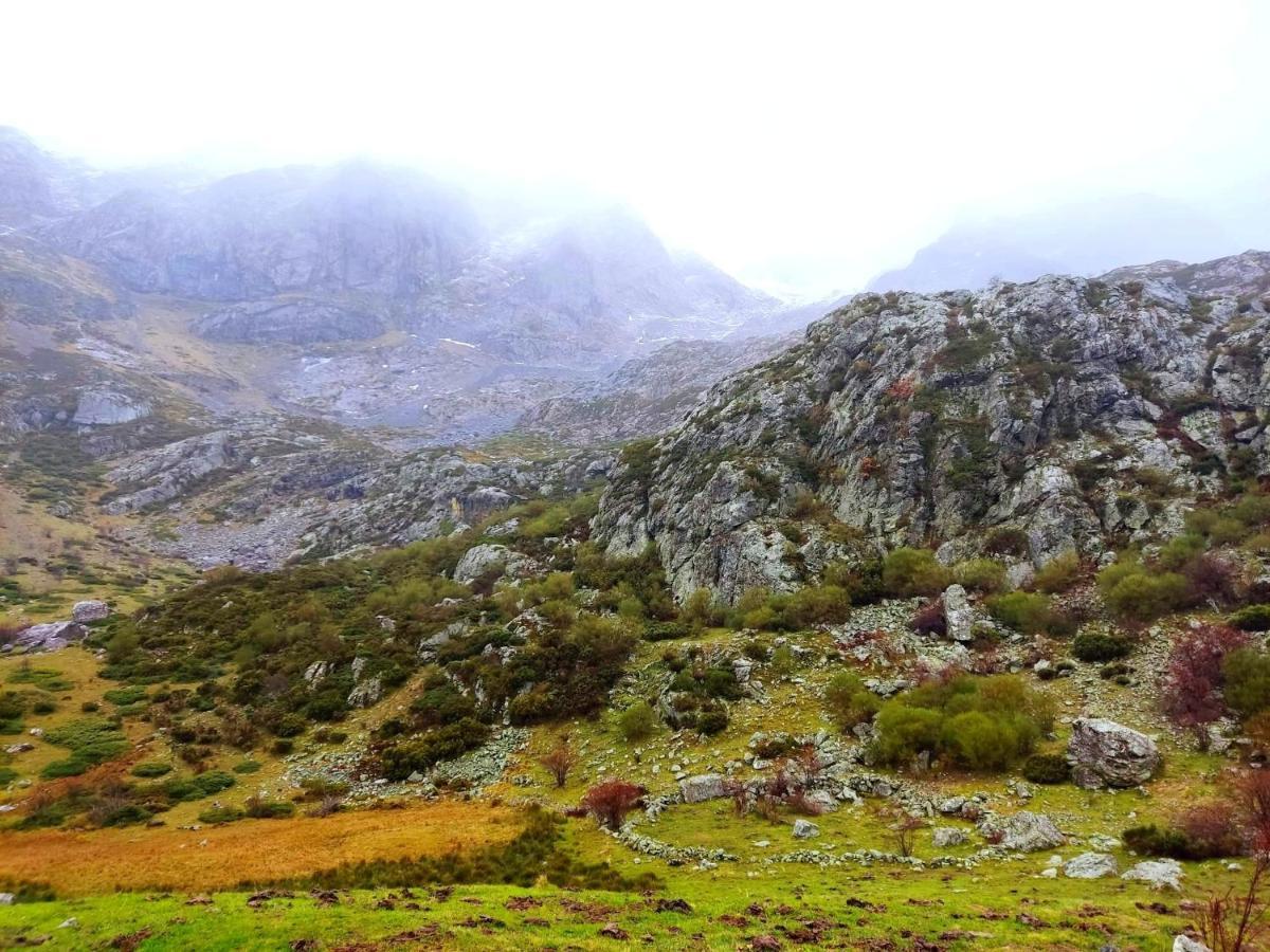 La Casita De La Montana Lejlighed Alba de los Cardaños Eksteriør billede